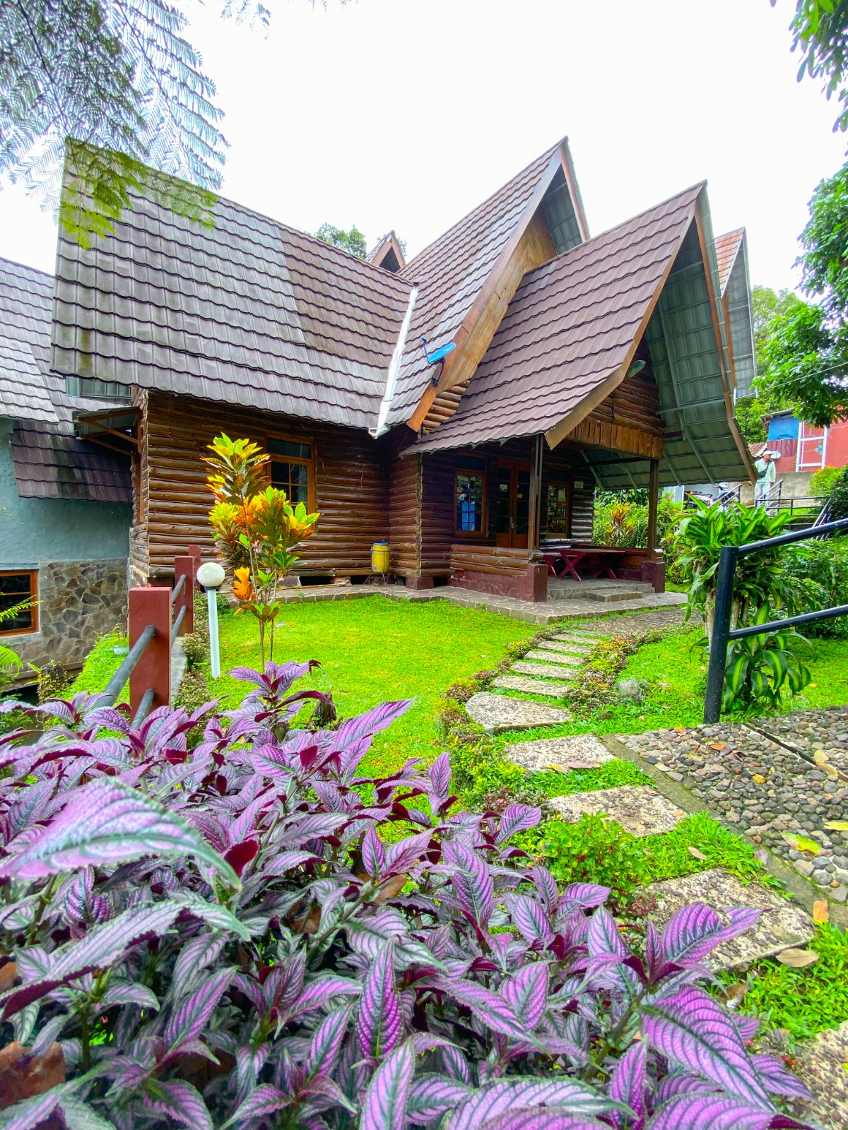 Homestay Forest View